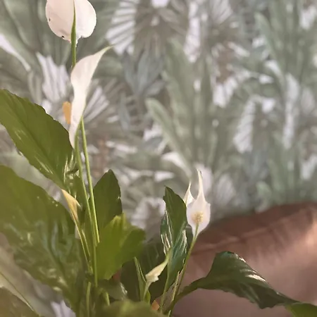 Ξενοδοχείο Eureka