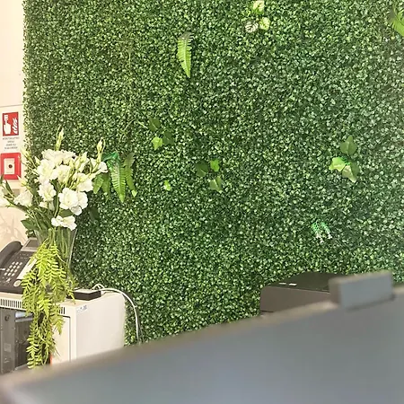 Eureka 3* ريميني