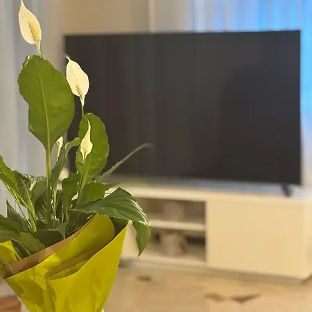 Eureka 호텔 리미니