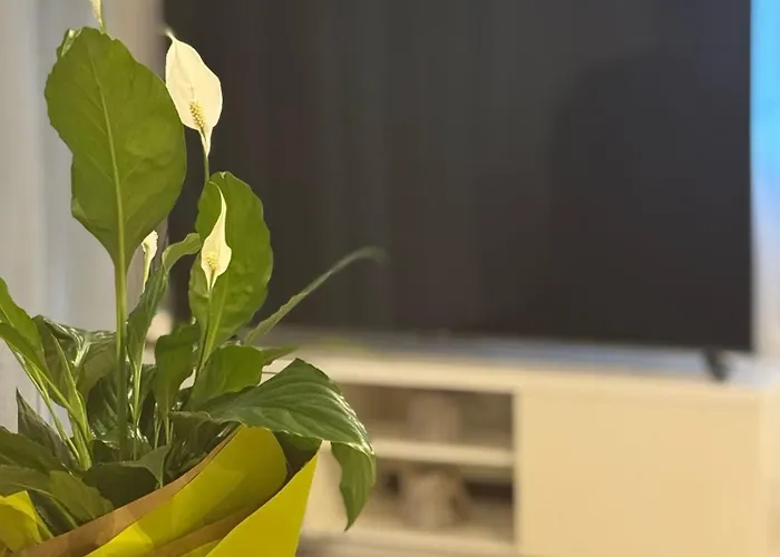 Eureka 호텔 리미니